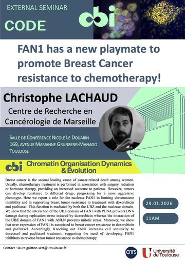 Christophe LACHAUD - FAN1 has a new playmate to promote Breast Cancer resistance to chemotherapy!
