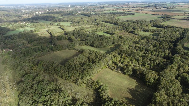 Chantier nature : Bocage de Boisdichon