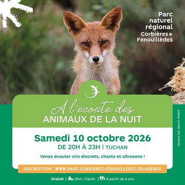 A l'écoute des animaux de la nuit