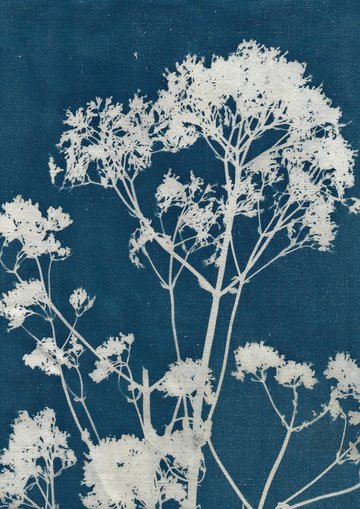 Exposition L'empreinte d'un jardin