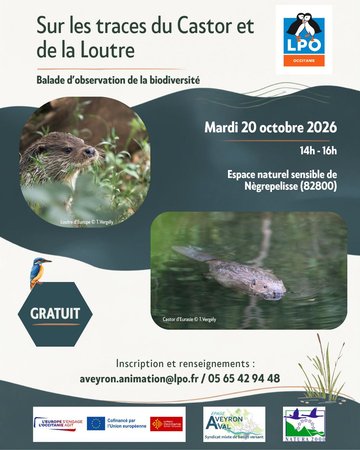 Sur les traces de la Loutre et du Castor