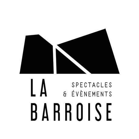 Spectacle - Tombé du Ciel, Jeanfi Janssens