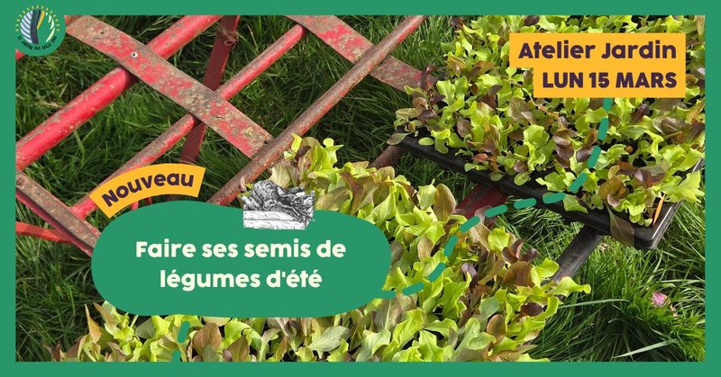 Atelier jardin : Faire ses semis de légumes d'été
