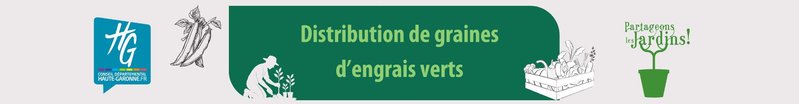 Distribution de graines d'engrais verts