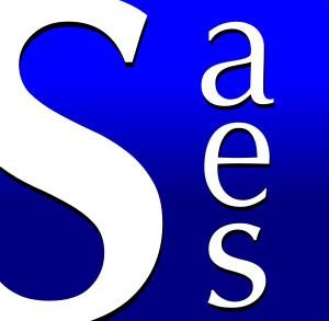 65e Congrès Annuel de la Société des Anglicistes de l'Enseignement Supérieur SAES- 500 participants