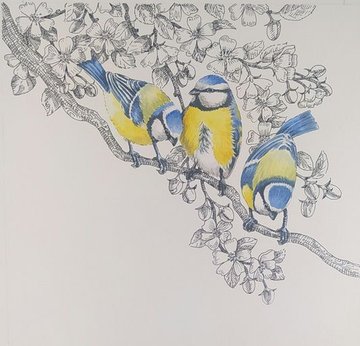 DéLivre-moi tes secrets avec Christine Flament, illustratrice et autrice
