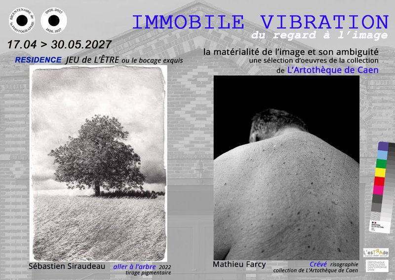 IMMOBILE VIBRATION 
           « Du Regard à l’Image » Fin de résidence/Exposition                  Sébastien Siraudeau  et L'Artothèque de Caen