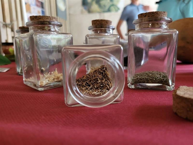 Festival Bêtes et Sorcières - Atelier en famille "Arôme antique"