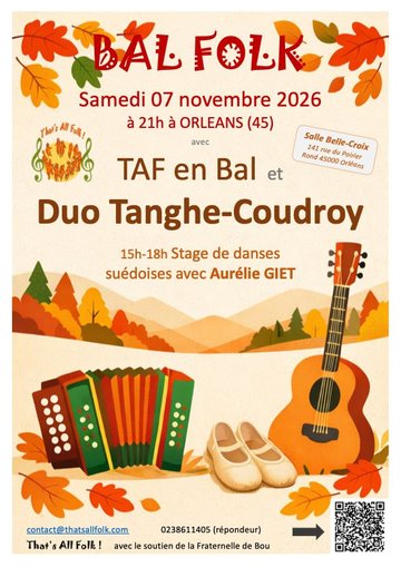 Stage danse suédoise et bal folk