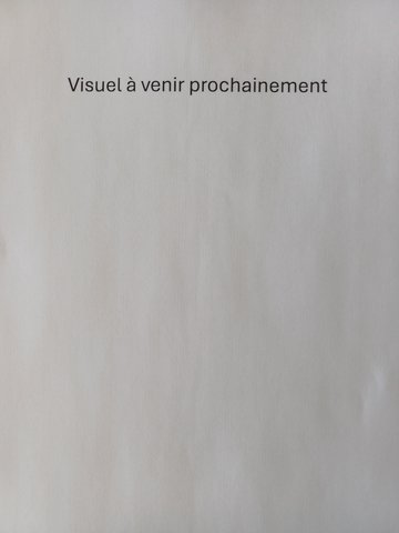 La Photographie dans les Alpes-Maritimes