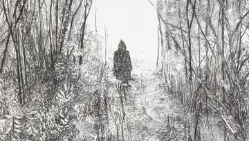 Tête-à-tête avec un artiste : David Ryan
