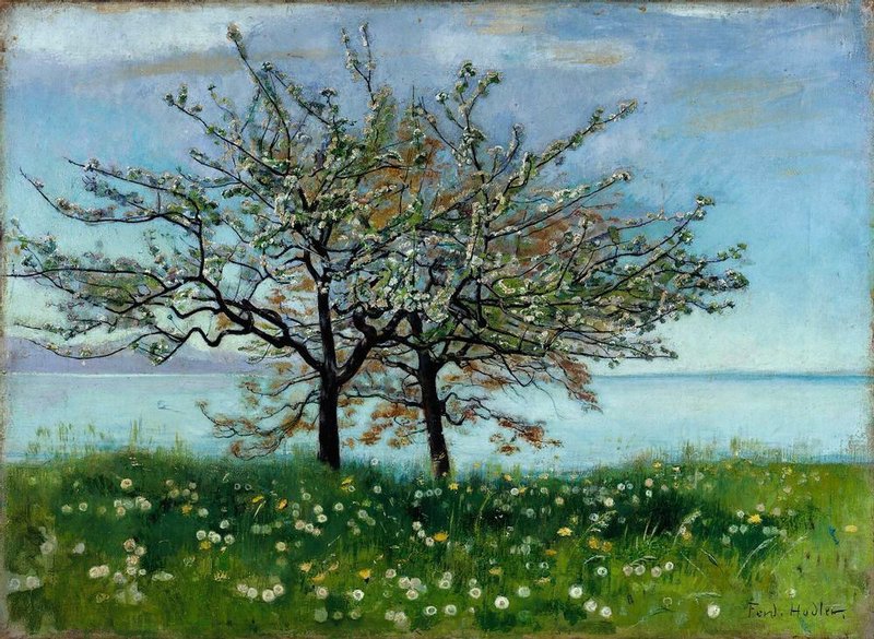 Viens découvrir comment dessiner des fleurs à la manière du peintre suisse Ferdinand Hodler !