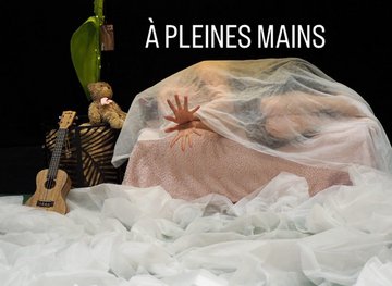 SPECTACLE A PLEINES MAINS