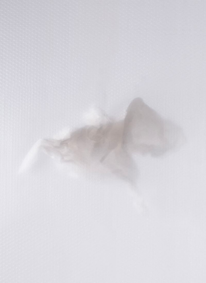 Exposition « Transparences, saison III, Dreams » avec le duo d'artistes Ana D & Noora K