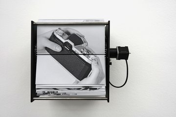 Vernissage, Isabelle Le Minh,  A Rose is a Rose is the Last Rose of Summer
