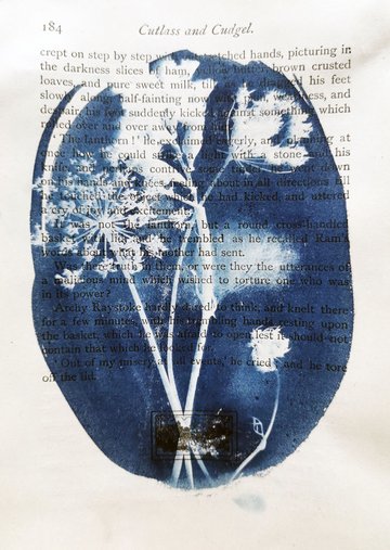 Atelier d'initiation au cyanotype