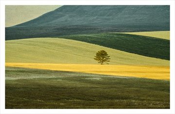 Franco Fontana : Full Color