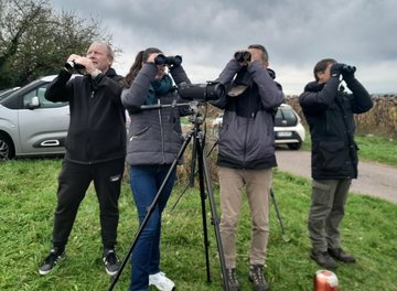 La migration des oiseaux