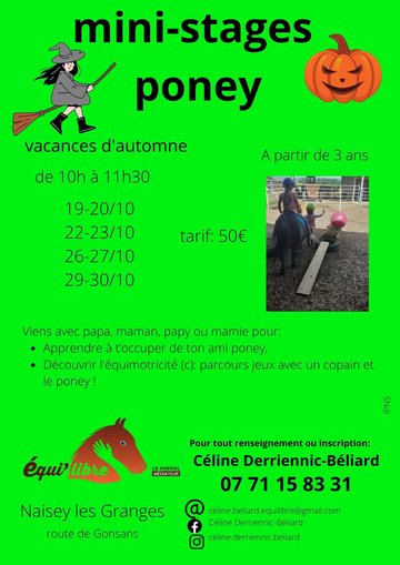 stages poney et découverte de l'équimotricité(c)