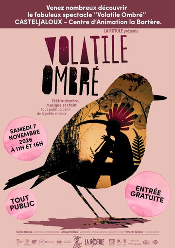 Spectacle "Volatile ombré"