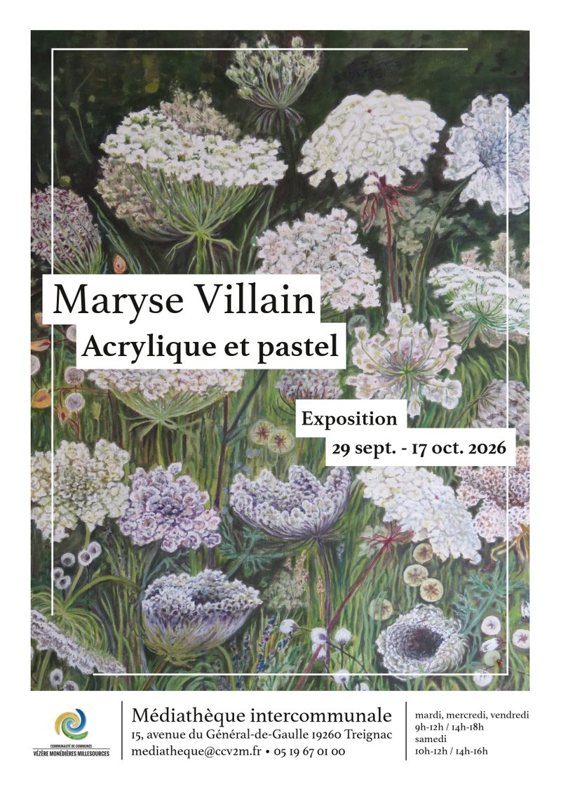 Médiathèque : Exposition de Maryse Villain