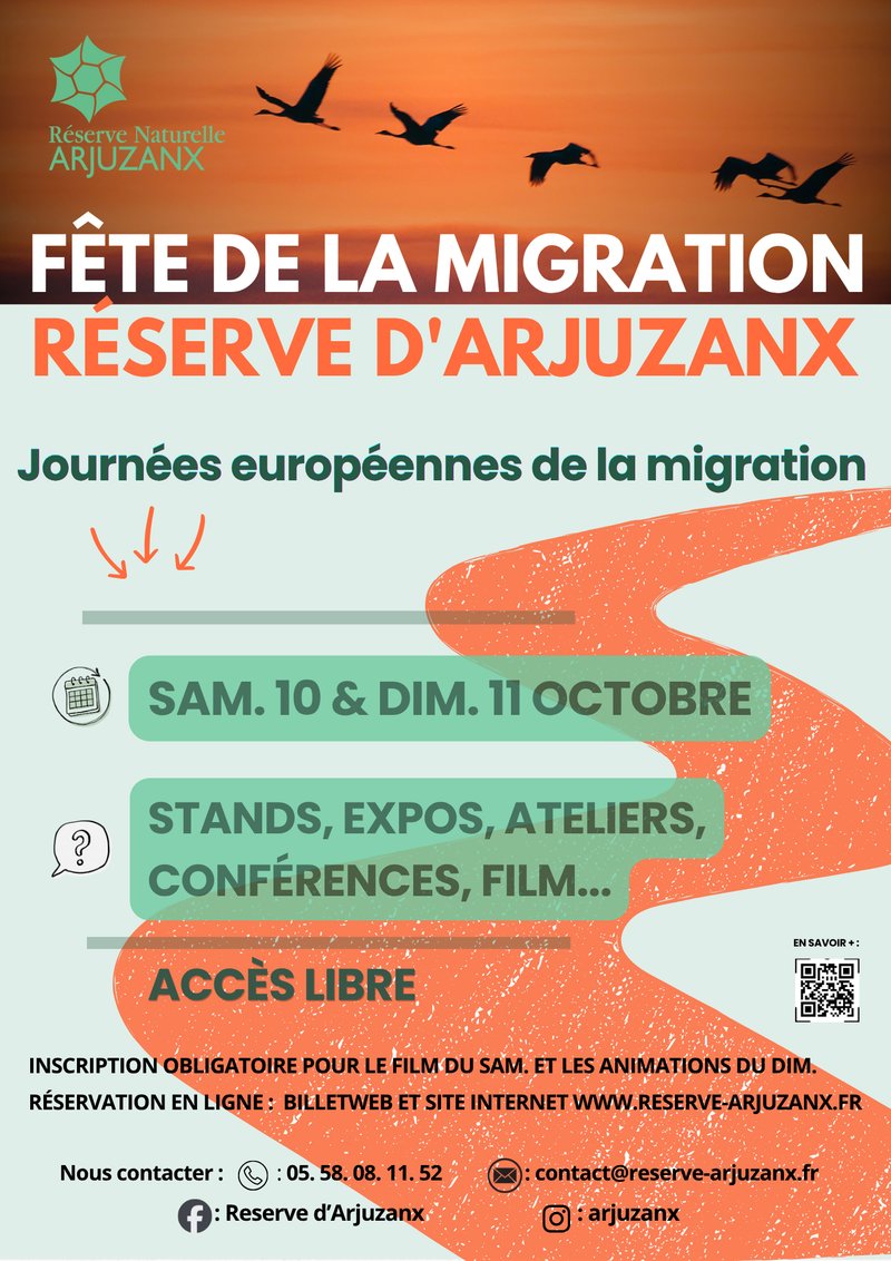 Fête de la migration
