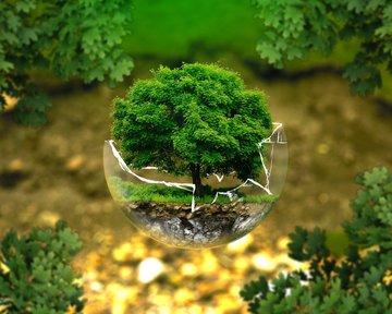 L'artificialisation des sols : comment inverser la tendance ?