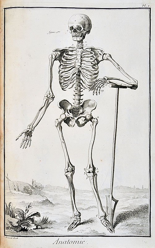 ARPL 2026 - Visite guidée des planches Anatomie de l'Encyclopédie