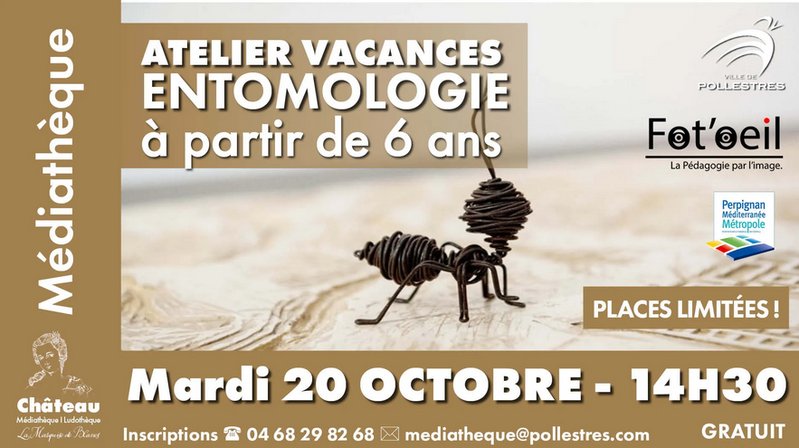 ATELIER VACANCES ENTOMOLOGIE