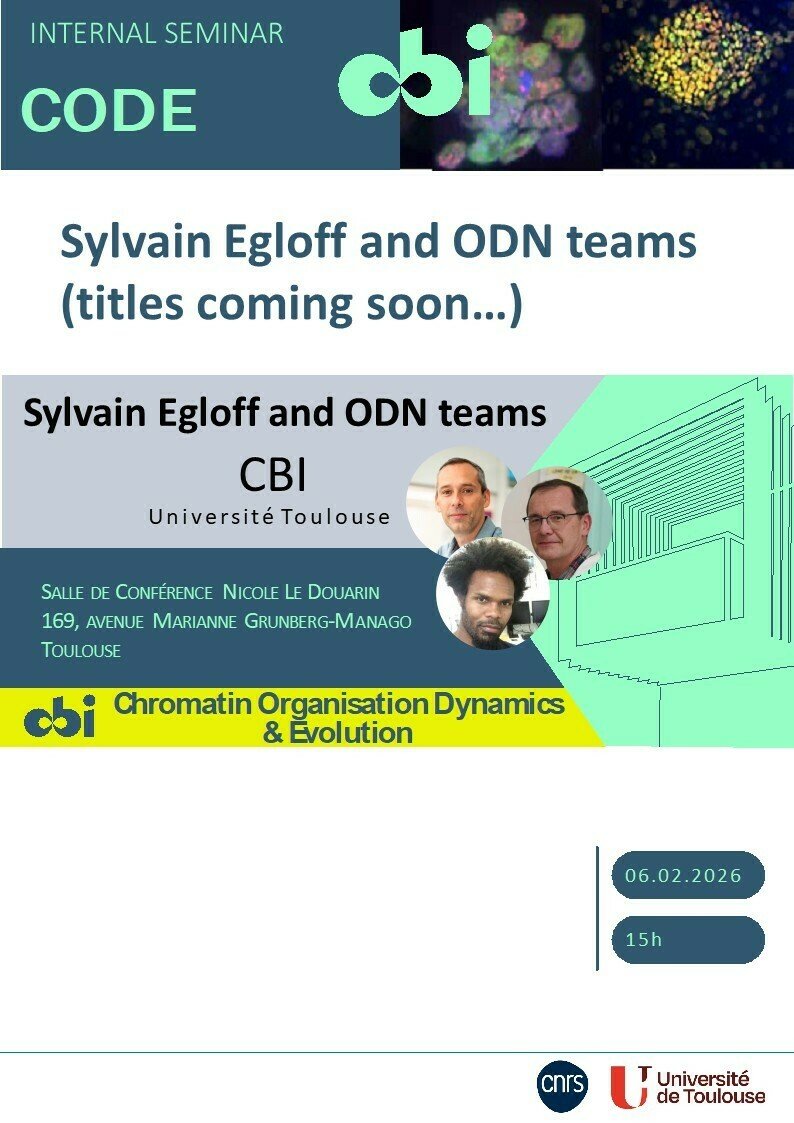 Internal seminar - Sylvain Egloff and ODN teams