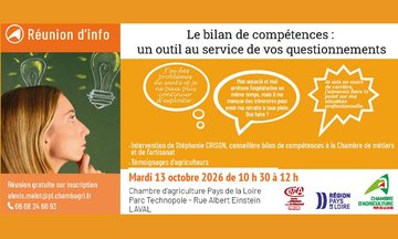 Le bilan de compétences : un outil au service de vos questionnements