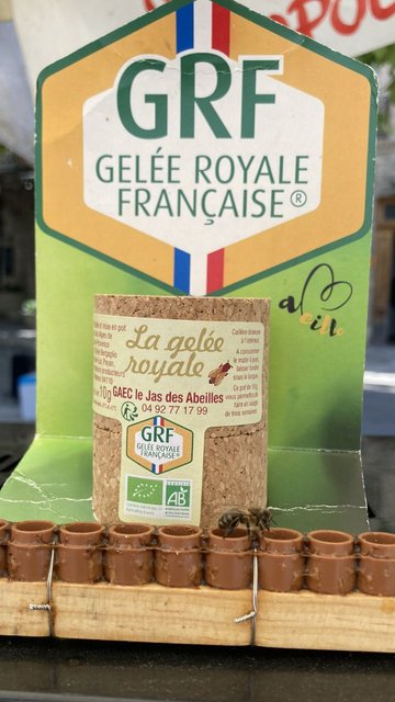 Le dimanche de la Gelée Royale