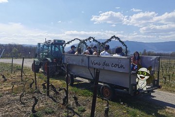 HALLOMANIA - Double chasse aux bonbons Vignes & Fluo, dégustation de vins à Soral