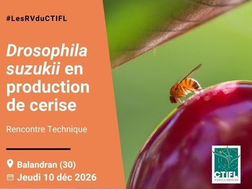 Rencontre Technique Drosophila suzukii en production de cerise