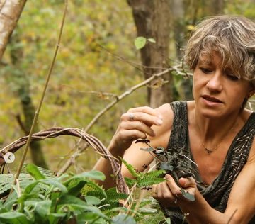 Octobre Rose 2026 - Balade botanique - Les bienfaits des plantes