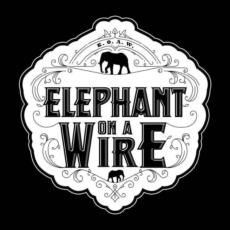 ELEPHANT ON A WIRE