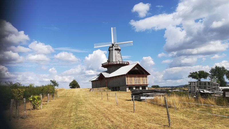 visite de moulin à vent à scier le bois