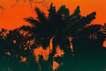 Le Chaos qui me donne la vie – Atlas d’un pays imaginé | Oleñka Carrasco & La Chica
