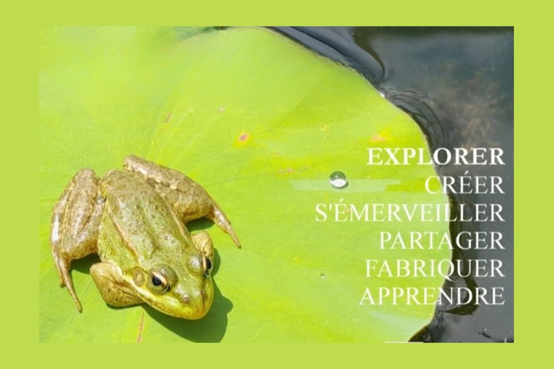 La biodiversité à Bretou