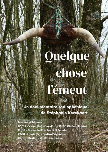 Ciné - Débat autour du documentaire sonore - "Quelque chose l'émeut"