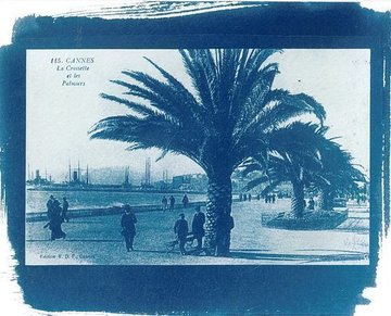 Atelier cyanotype : découverte et pratique d'une ancienne technique photographique