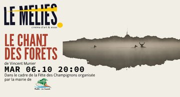 Projection pour la Fête des Champignons