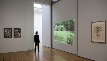 Tête-à-tête avec l'artiste Marie Denis
