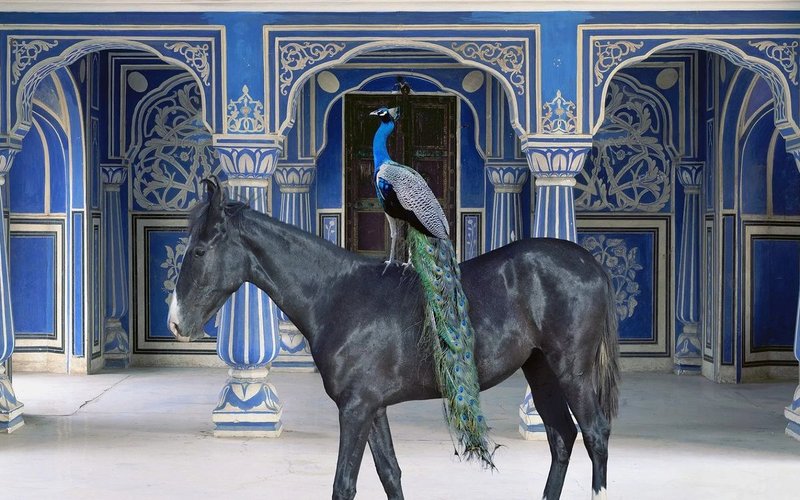 Karen Knorr au musée Delacroix
