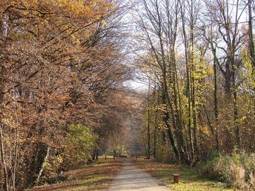 Randonnée : symphonie d'automne