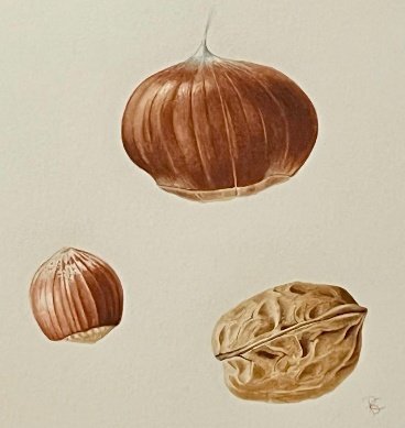 Festival SPOC d'Automne de Bugeat : Atelier aquarelle intergénérationnel