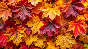 Fête de l'automne avec La Croisée des Villages