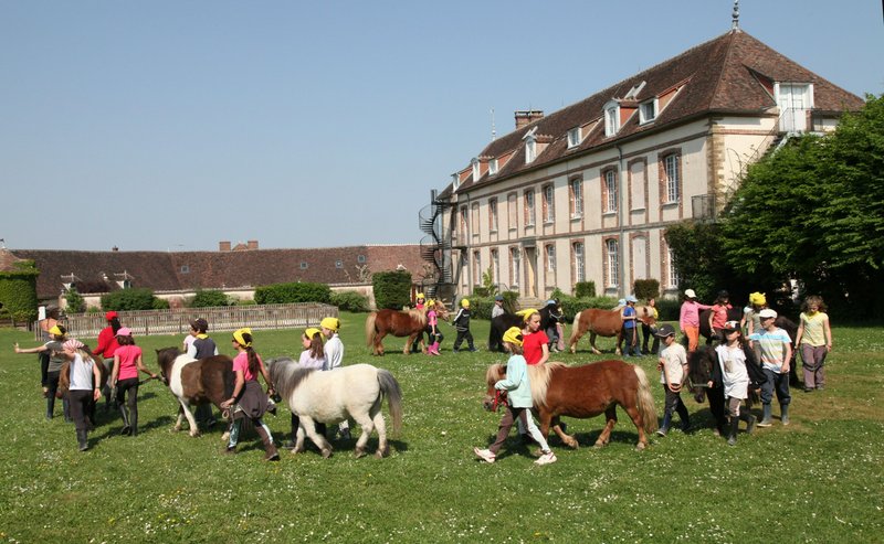 Poney-club des Terrasses