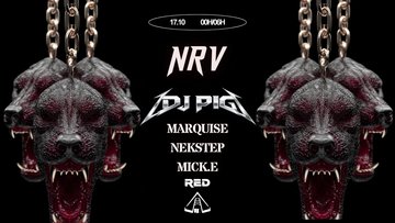 NRV #18 : PREMIERE DE LA SAISON