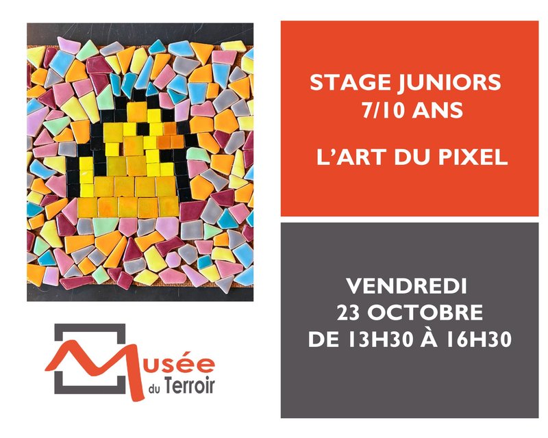 Stage Juniors 7/10 ans : l'art du pixel